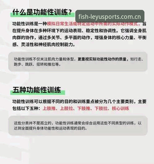 乐鱼官网最新版本2026最新版本 乐鱼体育平台最新版本2026完整指南:功能解析与高效使用技巧